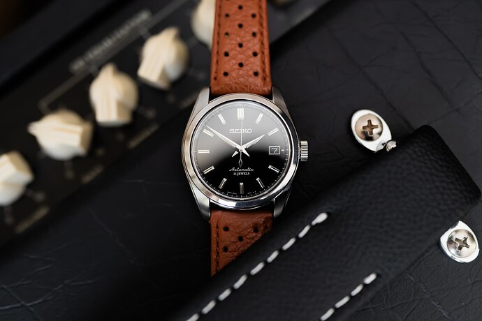 sarb033-1