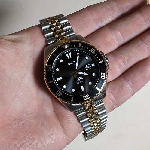 PXL_20240324_150113940
