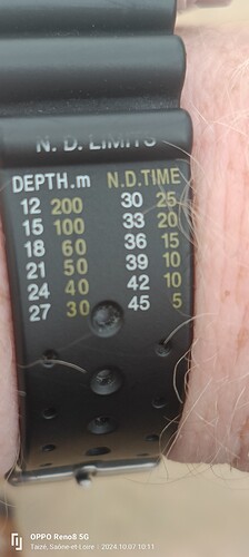 17282886782914963051636939041212