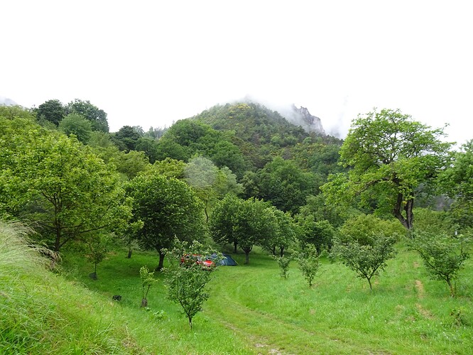 DSC01810