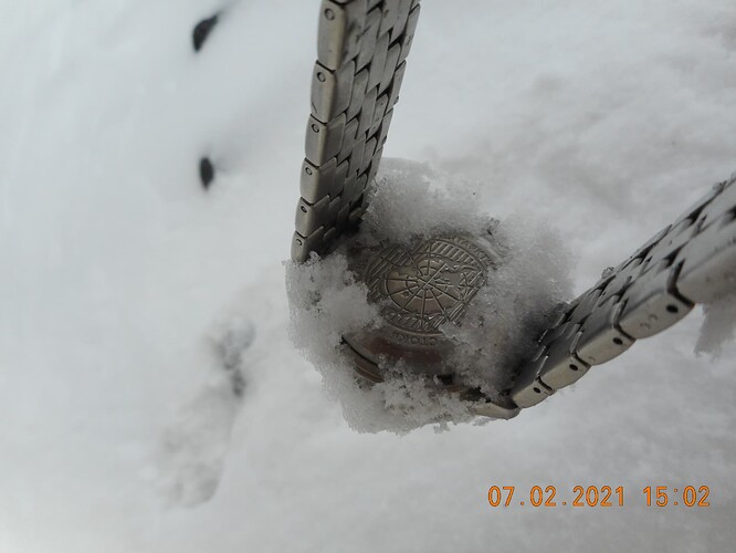 DSCN0978