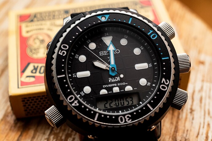 DSC_2182 Seiko ARnie_3840