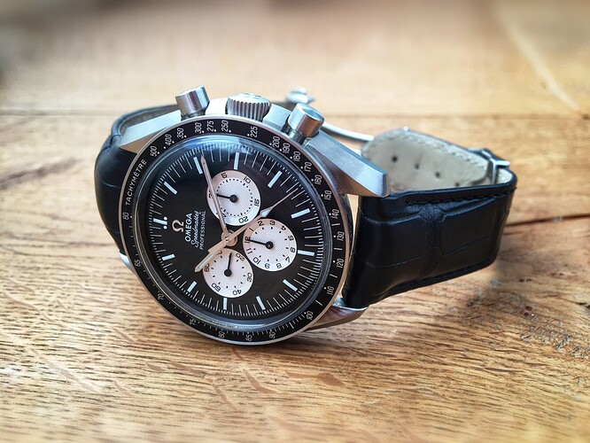 Omega Speedy Tuesday Alaska III (49)