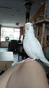 IMG_20240803_084729_881