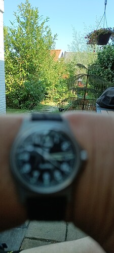 IMG_20240921_151421