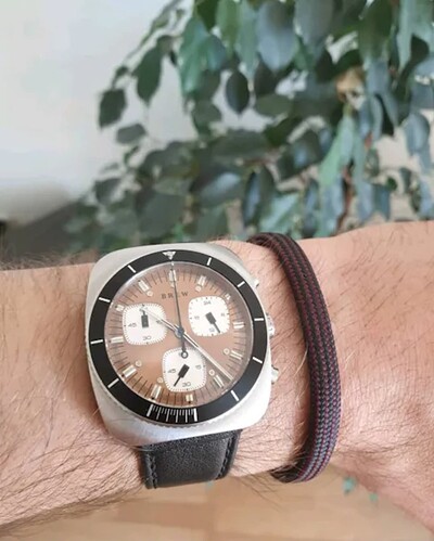 Screenshot_20241113_193845_WatchCrunch