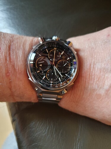 Citizen Bull head 26e