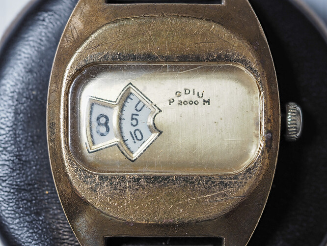 P3191225