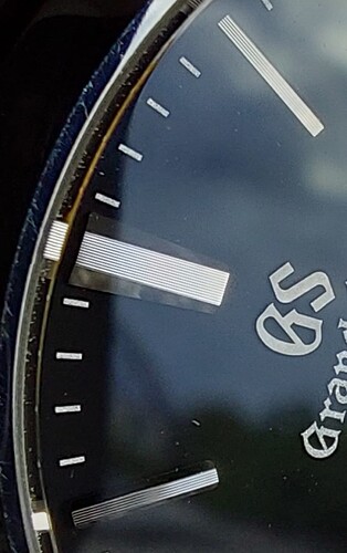Screenshot_20241011_131232_Photos