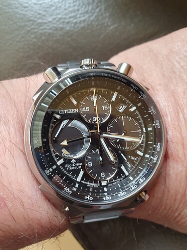 Citizen Bull head 6e