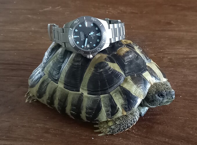 20240323_111808