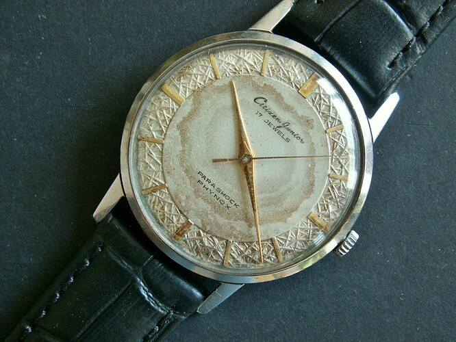 citizen junior