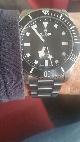 Tudor 26