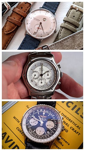 20241007_223452-COLLAGE