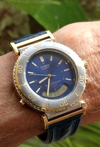 IMG_20240829_083432943_HDR~2