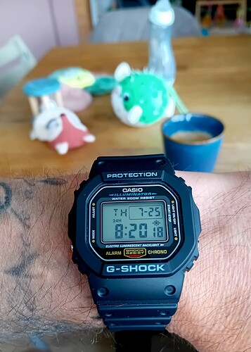 20240725_081939