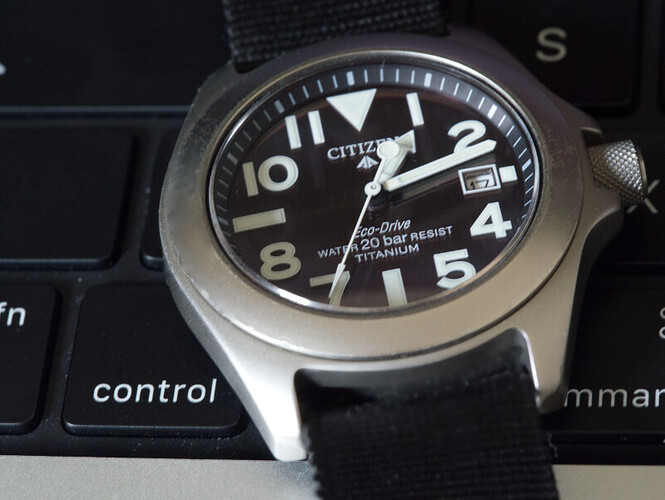 Citizen RayMears 001