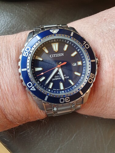 Citizen Promaster sea eco-dive 31e