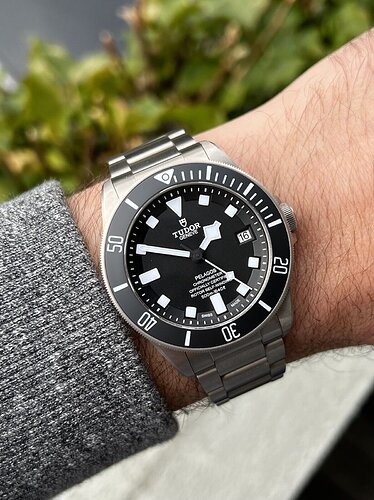 Tudor_Pelagos_Black_25600TN_-_2021_Watch_Vault_10_2048x
