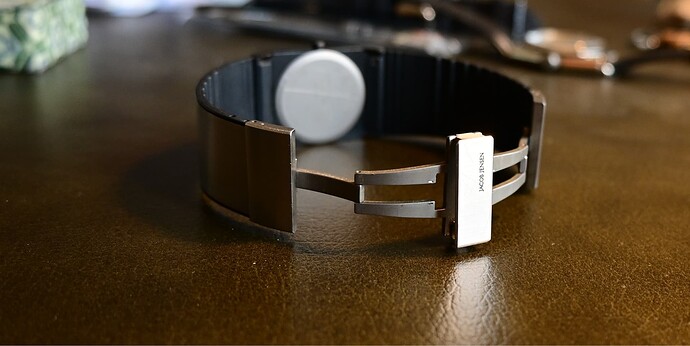 JacobJensenNewDimensions_clasp_crop
