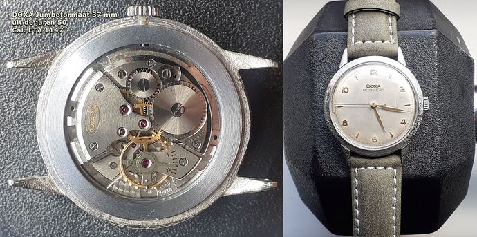 DOXA Jumboformaat 37 mm