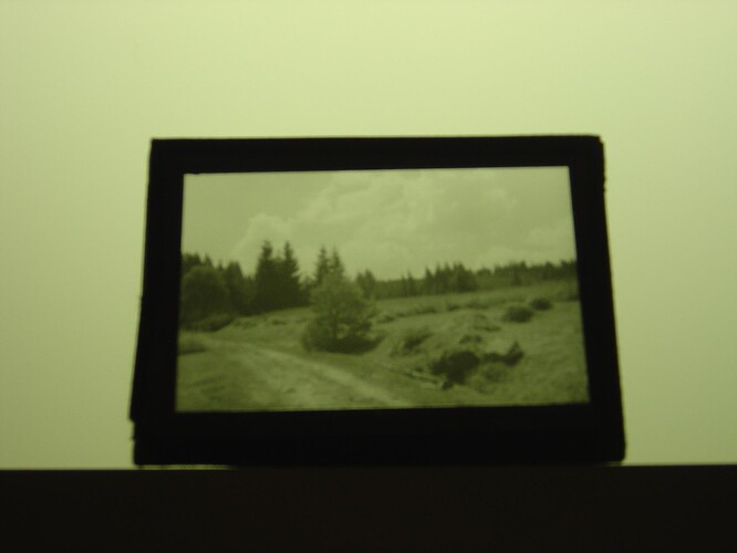 Dsc00001