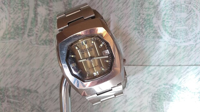 Citizen 62-8719
