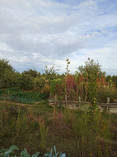 IMG_20220905_184251009