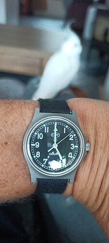 IMG_20240927_170009