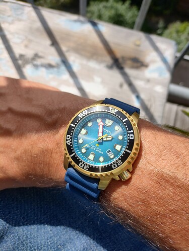 IMG_20240914_135629877_HDR