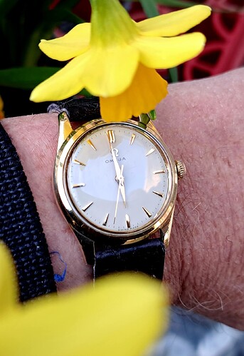 Omega 14krt (1) 1952  25-02-2024