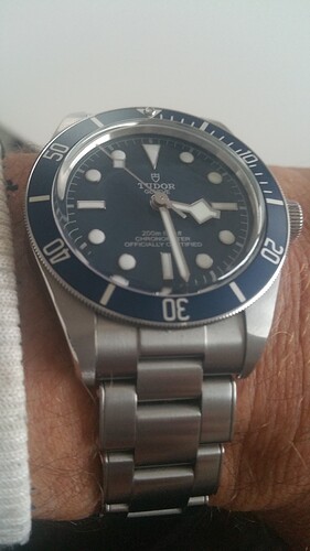 Tudor 23