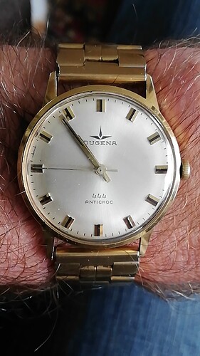 337 Dugena