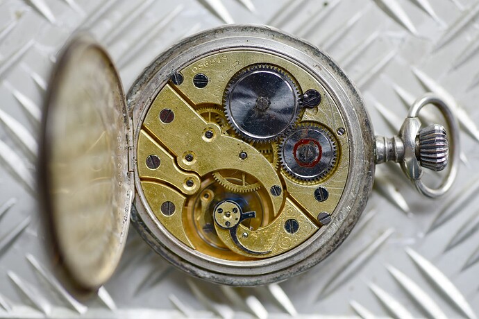 DSF_1917