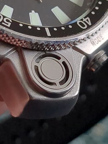 17092021697604002236181724181194