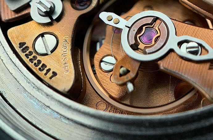 Speedymoon 3450809 Uurwerk
