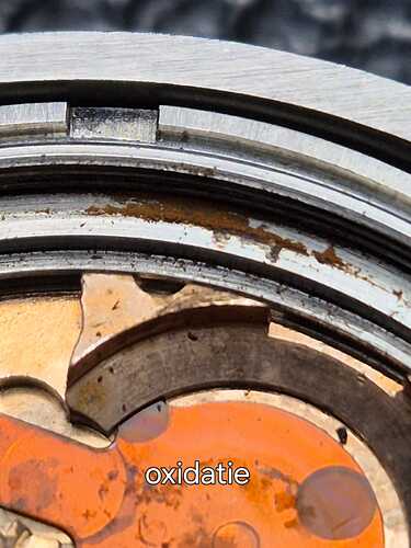 IMG-20240615-WA0004(1)
