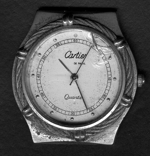 Cartier 215168-12x16