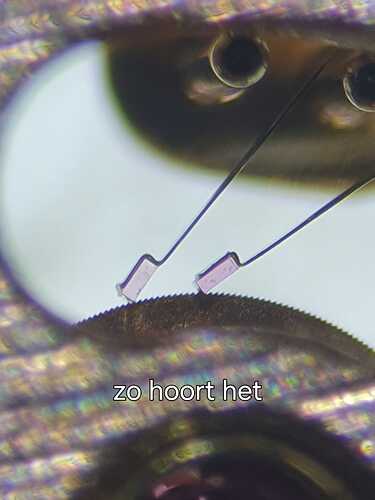 IMG-20240615-WA0000(1)