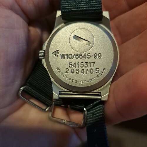 17259898154883641091910010970396