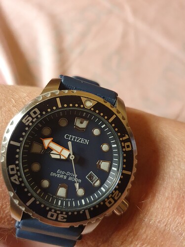 Promaster Eco-Diver om de pols 30e