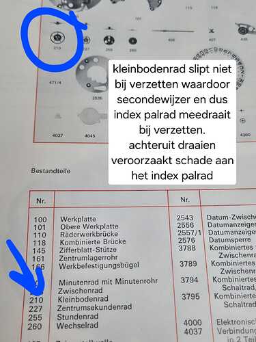 IMG-20240615-WA0006