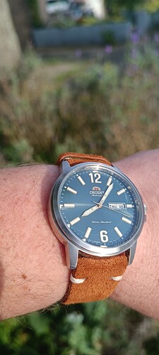 IMG_20240718_080553