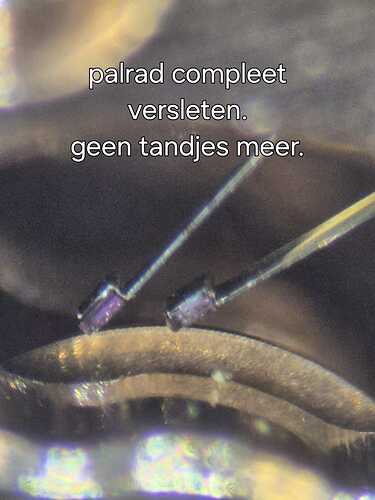 IMG-20240615-WA0001(1)