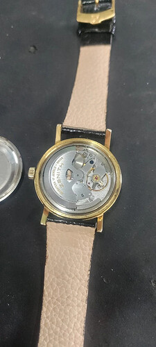 1721480011 (1)
