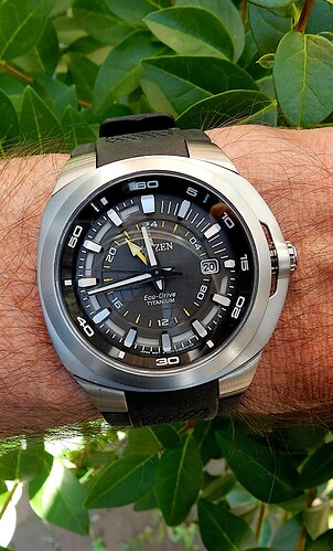 CITizDSCN7505