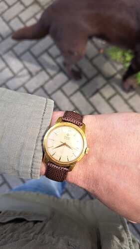 IMG-20240821-WA0035