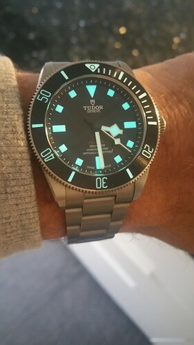 Tudor 24