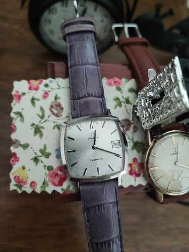 decoratie omega 4