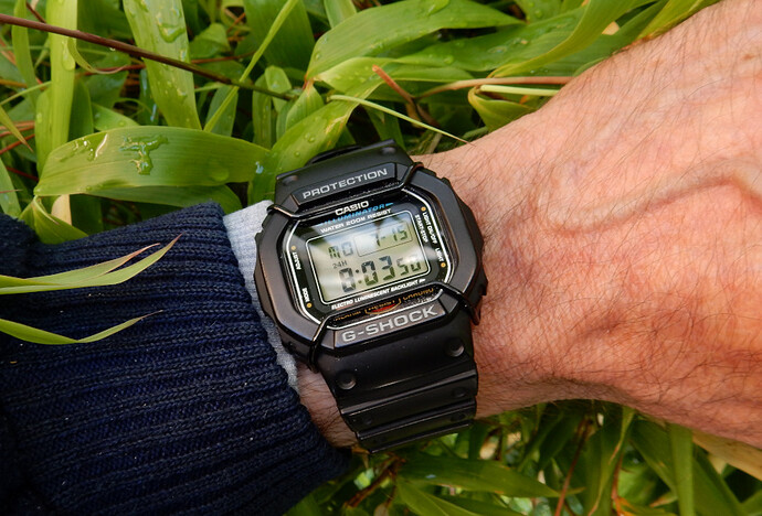 G combDSCN7350
